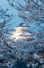 世界杯足球彩票4 5-世界杯足球彩票，激情与策略的碰撞